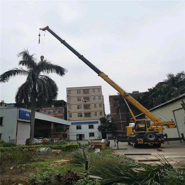 武鸣吊车吊大树几种方法